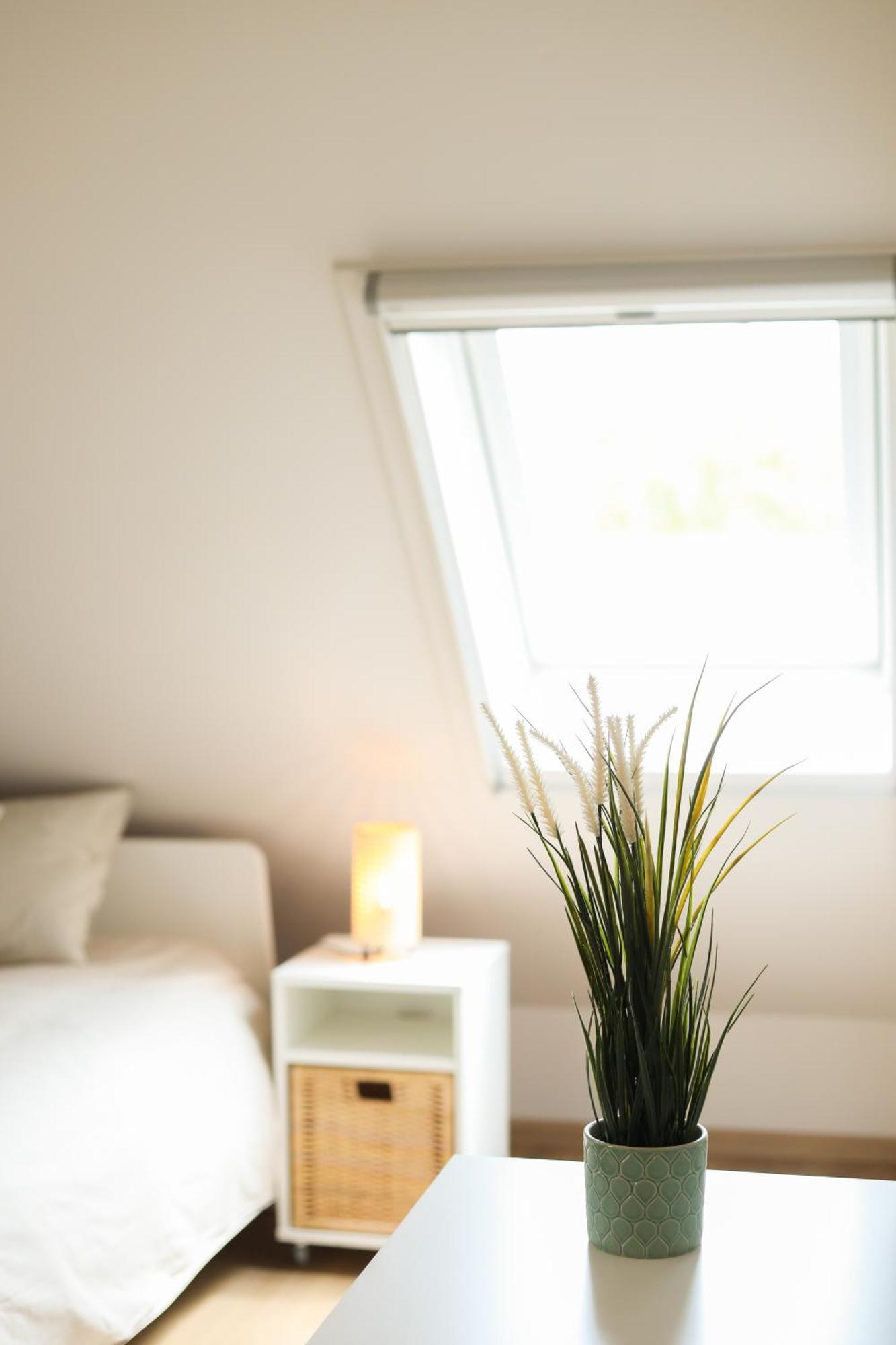 Home2Stay - 7T3 Zonnebeke Eksteriør billede